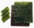 Import Sargassum Muticum Seaweed from Philippines