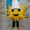 sea urchin mascot costume, Cartoon Carnival Mascot costume Long Plush Fur Guangdong
