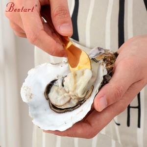 Seafood Tool Metal Oyster Knife Shell Opener