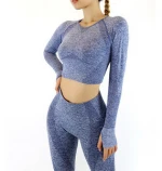 Seamless Gym Clothing Set Leggins 2 Piece Women Yoga Set Sport Wears Comfort Sports Pants And Top For Yoga Set