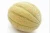 Import Seasonal Fruit Musk Melon from India