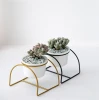 Set of 2 Mini White Ceramic Flower Pots with Brass Wire Frames