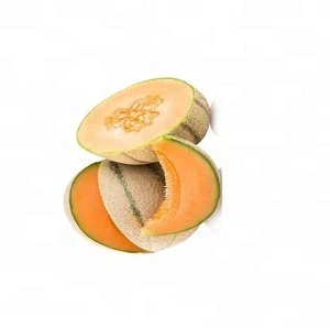 SGS Certified fresh muskmelon honeydew hami melon for sale