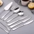 Silverware Set 20-Piece Flatware Set Stainless Steel Utensil Set Service for 4 Dinner Knives/Forks/Spoons
