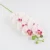 Import Single branch simulation Home Decor Wedding plastic 8 heads Cymbidium Real Touch Latex Butterfly dance orchid flower artificial from China