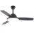 Import Stainless steel material  good quality  three blades can remotely control the ceiling fan from China