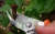 Import Steel pruning tools garden hand prunner from China