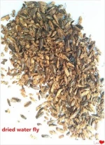Sun Dried Water Flies for Fish Meal