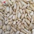 Import Sunflower Seeds Kernels Bakery Sunflower Seeds  with Halal Cert from China