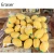 Import super cute Food Pencil Rubber Erasers Fruit Vegetable Erasers for Kids from China