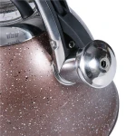 Teapot Frosted Texture Stovetop Whistling Tea Kettle Whistling Water Gas Stove Stainless Steel Kettle With Flat Bottom 3 Liters