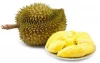Thailand Fresh Durian Monthong