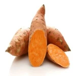 Top Quality Fresh Potato/Potatoes & Sweet Potato/Potatoes for Sale