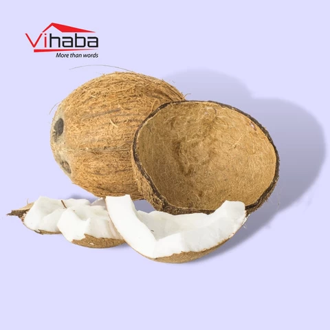 Top sale 2021 desiccated coconut low fat coconut milk powder dried fruit organic mature coconut