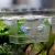Import Transparent Tank Breeding Isolation Box Aquarium Multifunctional Holder Cichlid Fish Acrylic Fish from China