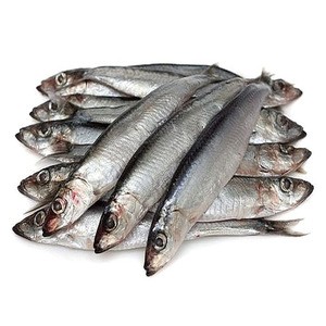 Ukrainian High Quality Canned Sprat At A Special Price