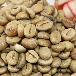 Vietnam coffee beans Robusta screen 18 from China manufacturer