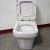 Import Water Australian Suite Wc Bathroom Bidet All One Brand Watermark Ceramic Two Piece Toilet from China