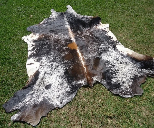 Wet Salted and Dried Donkey Hides/Goat Skin / Salted Cow Hides for best prices