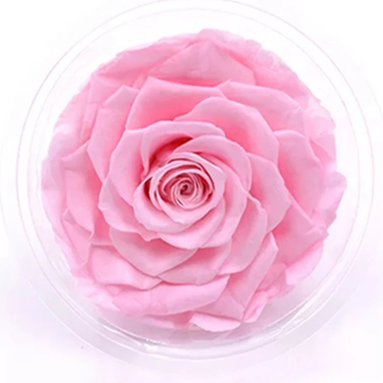 Wholesale 9-10cm Big preserved rose head various colors for choose