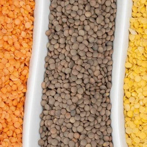 Wholesale and Split Organic Brown Lentils/ Red Lentils, Green Lentils, Yellow Lentils Beans/yellow pigeon peas Pulses