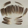 Wholesale beautiful natural pheasant feathers