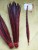 Import Wholesale Direct Dyed Cheap 50-55cm Ringneck Pheasant Tail Feathers for Carnival Costume from China