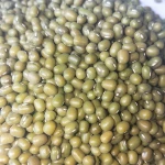 wholesale dried mung bean green beans PP bags 2021 crops