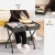 Import Wholesale Folding Luggage Rack Suitcase Stand with Fabric Storage Shelf Double Tiers Metal Luggage Holder  for Guest Room from China