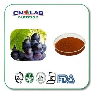 Wholesale Natural Fruit Extract Grape Seed Extract for Sale