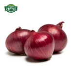 Wholesale onions manufacturers red onion exporters fresh onion buyers