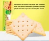 Wholesale Soda Cracker Biscuit Manufacturer