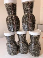 Wholesale Sunflower Seeds Kernel / Peeled Sunflower Seeds With Low Price