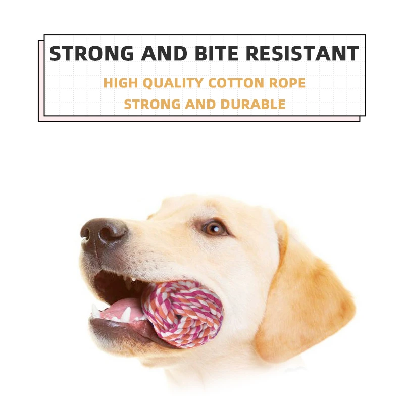 Wholesales Supplier Manufacturer Durable Carrot Interactive Training Chew Rope Dog Toy