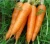 Import Xiamen China Fresh Red Carrot from China