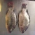 Import Frozen Tilapia Fish Best Price and Quality from South Africa