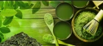 Macha