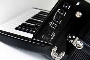 For sale Roland FR-1X-BK Accordion Lite with 26 Piano Keys and Speakers - Black