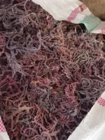 Dried Eucheuma cottonii