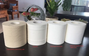 Toilet Paper Roll / Toilet Roll / Toilet Tissue