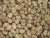 Import Dried Broad bean فول, الفاصوليا المجففة from Iran