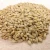 Import Barley for Malt, Barley Feed, Malted Barley Animal feed barley from South Africa from South Africa