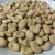 Import Dried Broad bean فول, الفاصوليا المجففة from Iran