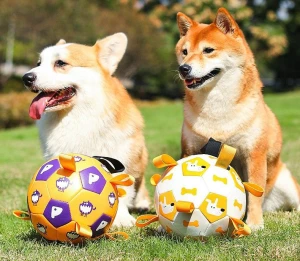 Dog Interactive Football toy