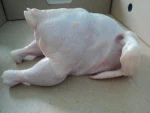 100% Halal Frozen Whole Chicken – Quality You Can Trust