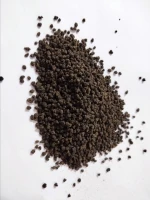 BOPSM Authentic Black Tea High Quality Fresh Leaves