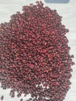Red kidney beans