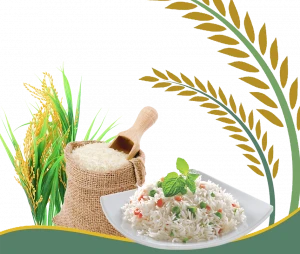 Rice Exporter