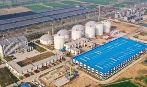 Biogas Projects