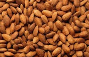 Good Quality Almond Nuts
